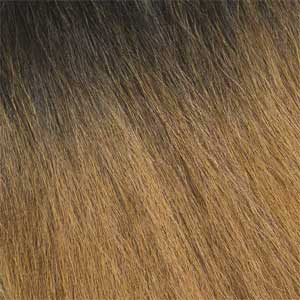Bobbi Boss Synthetic Hair Natural Style Lace Wig - MLF627 DUTCH BRAID - EgoWigs.com