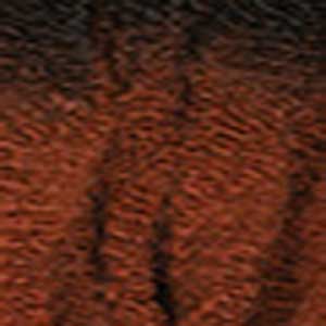 Janet Collection BEAUTY IS EXPRESSION 3X Value Pack Braid - 3X KINKY CRUSH BULK 36" - Clearance - SoGoodBB.com