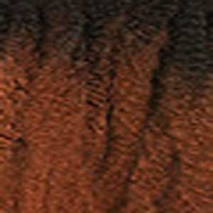 Janet Collection BEAUTY IS EXPRESSION 3X Value Pack Braid - 3X KINKY CRUSH BULK 36" - Clearance - SoGoodBB.com