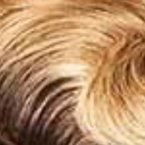 Outre 100% Human Hair Premium Duby Diamond Wig - TRUDY - EgoWigs.com