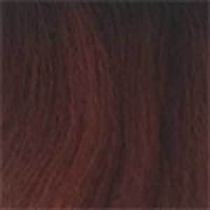 Outre Neesha Soft & Natural Synthetic Swiss Lace Front Wig - NEESHA 201 - EgoWigs.com