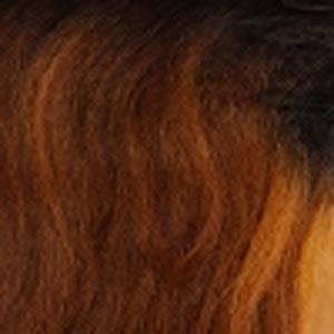 Sensationnel Cloud9 What Lace 13x6 Frontal Lace Wig - LATISHA - EgoWigs.com