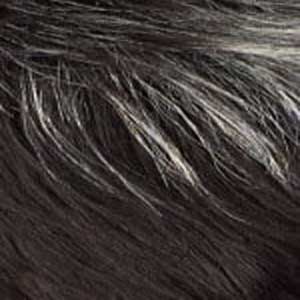 Sensationnel Empire Salt & Pepper 100% Human Hair Celebrity Series Wig - KORI - EgoWigs.com