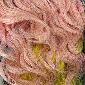 Sensationnel Shear Muse Synthetic Hair Empress Lace Front Wig - NAKIDA - EgoWigs.com