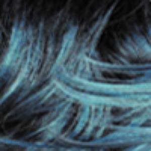 Zury Sis Diva Synthetic HD Lace Front Wig - DIVA LACE H WOODY - Clearance - EgoWigs.com