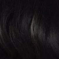Zury Sis Royal Synthetic Pre Tweezed Swiss Lace Front Wig - SW LACE H HOPE - Clearance - EgoWigs.com