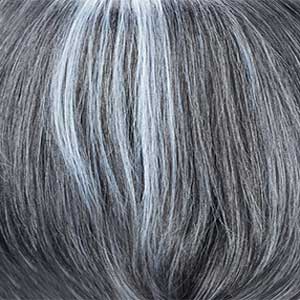 Zury Sis Synthetic Fiber Lace Part Full Wig - FW PART WISDOM 301 - EgoWigs.com