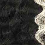 Zury Sis Synthetic Hair HD Lace Front Wig - LF WILMA - EgoWigs.com